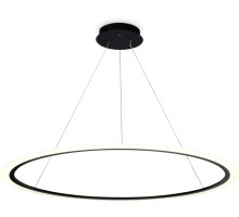 Подвесной светильник ACRYLICA FA4347 Ambrella