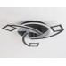 Потолочная люстра ACRYLICA FA4477 Ambrella