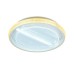 Потолочный светильник ACRYLICA FA602 Ambrella