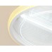 Потолочный светильник ACRYLICA FA602 Ambrella