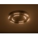 Потолочный светильник COMFORT FL5822 Ambrella