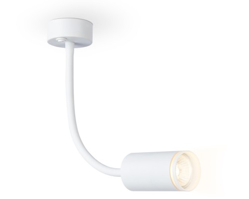 Настенно-потолочный светильник WALLERS FW2469 Ambrella Настенно-потолочный светильник WALLERS FW2469 Ambrella