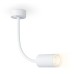 Настенно-потолочный светильник WALLERS FW2469 Ambrella