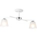 Потолочная люстра TRADITIONAL TR303201 Ambrella