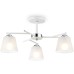 Потолочная люстра TRADITIONAL TR303202 Ambrella