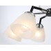 Потолочная люстра TRADITIONAL TR303294 Ambrella