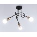 Потолочная люстра Traditional TR80415 Ambrella