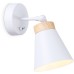 Спот TRADITIONAL TR8213 Ambrella