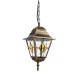 Уличный подвесной светильник Berlin A1015SO-1BN Arte Lamp