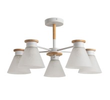 Потолочная люстра Tyler A1031PL-5WH Arte Lamp