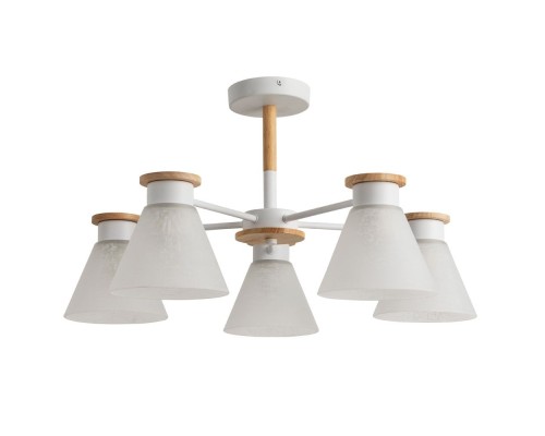 Потолочная люстра Tyler A1031PL-5WH Arte Lamp Потолочная люстра Tyler A1031PL-5WH Arte Lamp