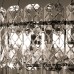 Подвесная люстра Nicoletta A1051SP-10CC Arte Lamp