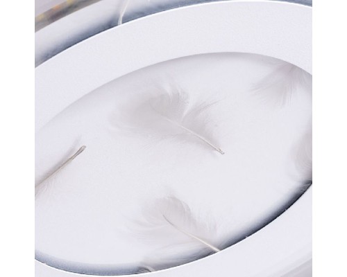 Потолочный светильник Multi-piuma A1397PL-1CL Arte Lamp Потолочный светильник Multi-piuma A1397PL-1CL Arte Lamp