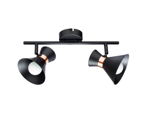 Спот Baltimore A1406AP-2BK Arte Lamp Спот Baltimore A1406AP-2BK Arte Lamp