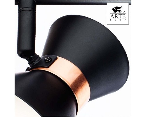 Спот Baltimore A1406AP-2BK Arte Lamp Спот Baltimore A1406AP-2BK Arte Lamp