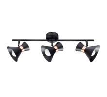 Спот Baltimore A1406PL-3BK Arte Lamp