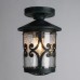 Потолочный светильник уличный Persia A1453PF-1BG Arte Lamp