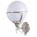 Настенный фонарь уличный Monaco A1491AL-1WG Arte Lamp