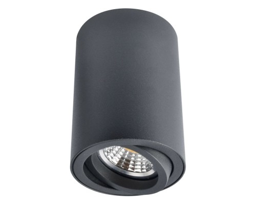 Точечный светильник Sentry A1560PL-1BK Arte Lamp Точечный светильник Sentry A1560PL-1BK Arte Lamp