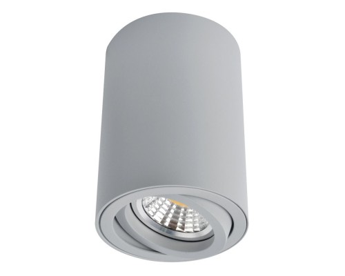 Точечный светильник Sentry A1560PL-1GY Arte Lamp Точечный светильник Sentry A1560PL-1GY Arte Lamp