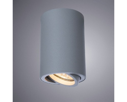 Точечный светильник Sentry A1560PL-1GY Arte Lamp Точечный светильник Sentry A1560PL-1GY Arte Lamp