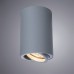 Точечный светильник Sentry A1560PL-1GY Arte Lamp