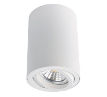 Точечный светильник Sentry A1560PL-1WH Arte Lamp