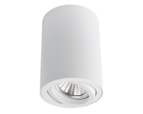 Точечный светильник Sentry A1560PL-1WH Arte Lamp Точечный светильник Sentry A1560PL-1WH Arte Lamp