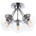 Потолочная люстра Bolla A1664PL-5CC Arte Lamp
