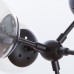Потолочная люстра Bolla A1664SP-12BK Arte Lamp