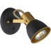 Спот Jovi A1677AP-1GO Arte Lamp