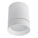 Точечный светильник Elle A1909PL-1WH Arte Lamp
