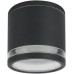 Потолочный светильник уличный Nunki A1910PF-1BK Arte Lamp