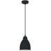 Подвесной светильник Braccio A2054SP-1BK Arte Lamp