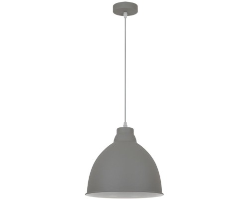 Подвесной светильник Braccio A2055SP-1GY Arte Lamp Подвесной светильник Braccio A2055SP-1GY Arte Lamp