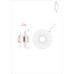 Настенный светильник Cherish A2097AP-12GO Arte Lamp