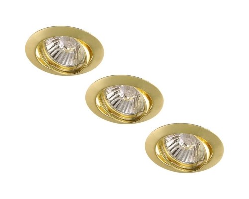 Точечный светильник Basic A2105PL-3GO Arte Lamp Точечный светильник Basic A2105PL-3GO Arte Lamp