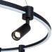 Подвесной светильник Ring A2186SP-1BK Arte Lamp