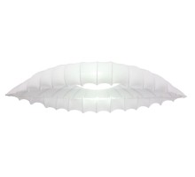 Потолочный светильник Botticelli A2188PL-2CC Arte Lamp