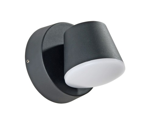 Настенный светильник уличный Chico A2212AL-1BK Arte Lamp Настенный светильник уличный Chico A2212AL-1BK Arte Lamp