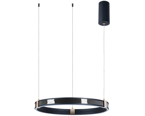 Подвесной светильник Shine A2222SP-1BK Arte Lamp Подвесной светильник Shine A2222SP-1BK Arte Lamp