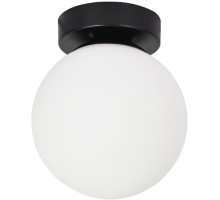 Настенно-потолочный светильник Alcor A2224PL-1BK Arte Lamp