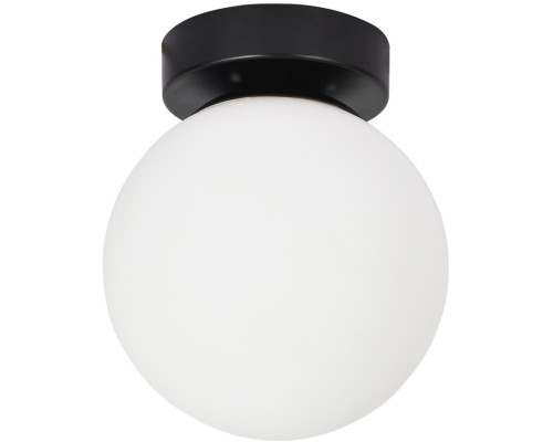 Настенно-потолочный светильник Alcor A2224PL-1BK Arte Lamp Настенно-потолочный светильник Alcor A2224PL-1BK Arte Lamp