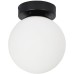 Настенно-потолочный светильник Alcor A2224PL-1BK Arte Lamp