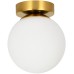 Настенно-потолочный светильник Alcor A2224PL-1PB Arte Lamp