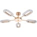 Потолочная люстра Ovale A2489PL-5GO Arte Lamp