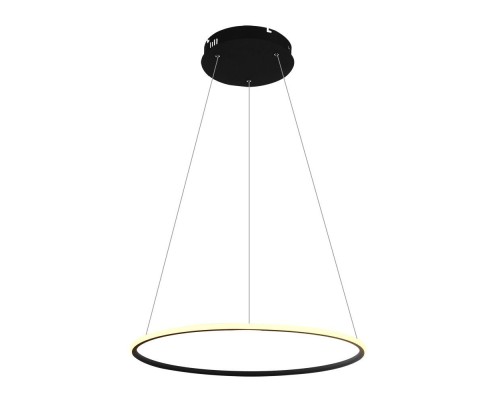 Подвесной светильник Rapid A2500SP-1BK Arte Lamp Подвесной светильник Rapid A2500SP-1BK Arte Lamp