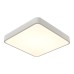 Потолочный светильник Scena A2663PL-1WH Arte Lamp