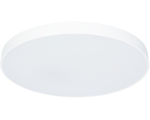 Потолочный светильник Arena A2671PL-1WH Arte Lamp Потолочный светильник Arena A2671PL-1WH Arte Lamp