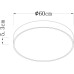 Потолочный светильник Arena A2671PL-1WH Arte Lamp